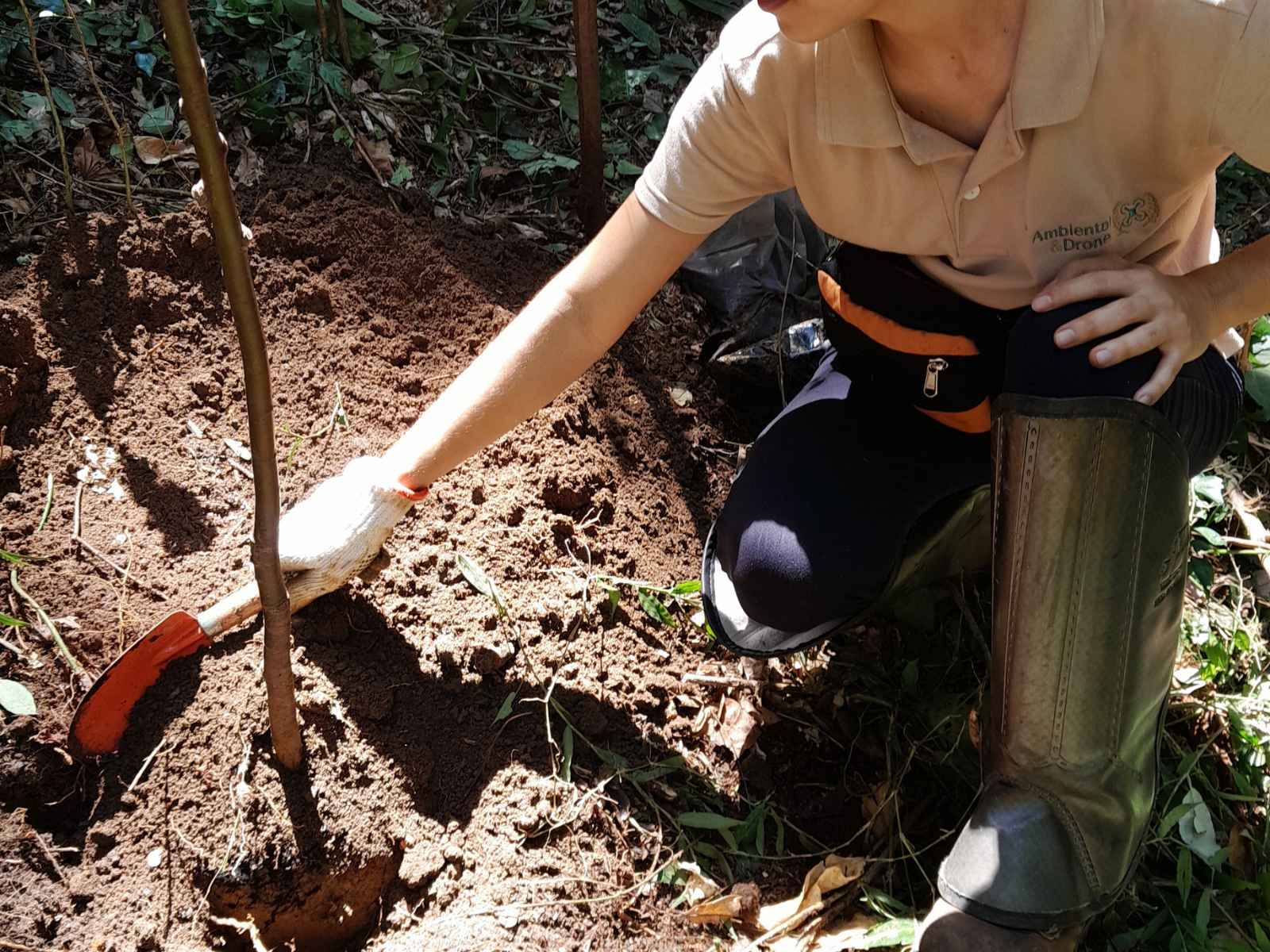 reflorestamento e regularização ambiental — PRAD inventário florestal RJ